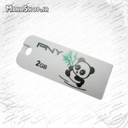 فلش مموری PNY 2GB Micro Panda