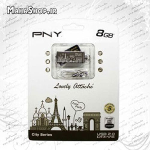 فلش مموری PNY 8GB Lovely Paris