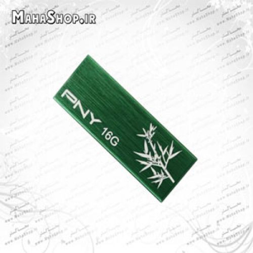 فلش مموری PNY 16GB Clip